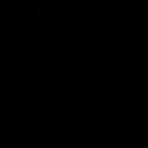 Meet your Posher, Camila